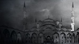 undefined Images